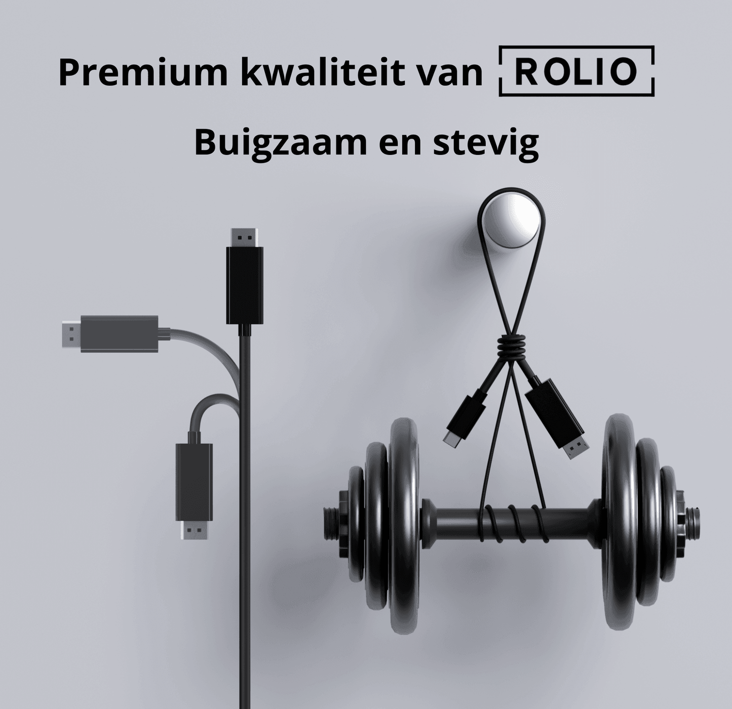 Rolio USB C naar DisplayPort kabel - 1 meter - Rolio